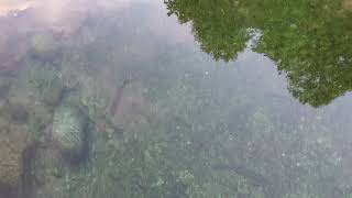 Madrigal de la Vera. Puente Romano. Garganta de Alardos. 1/9/2021