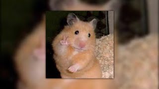 Twerkoholic - B. Smyth (sped up)