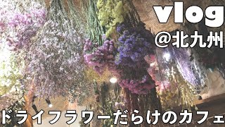 【vlog】映えるドライフラワーだらけのカフェ！｜休職OLの帰省【北九州カフェ】