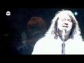 Antony and the Johnsons  -  Crazy in love (with the Dutch Metropole Orchestra)