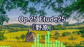 Op.25_Etude25『野原』 #DTM #オリジナル曲