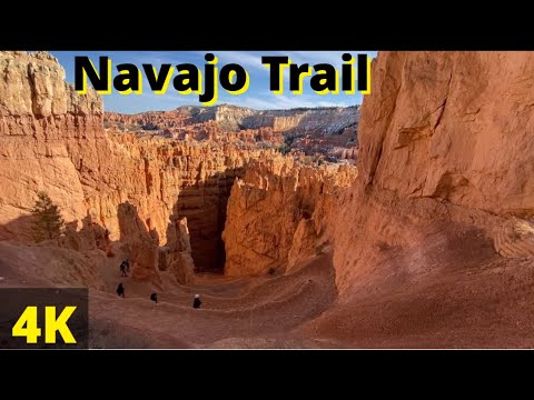 Virtual Hike | Bryce Canyon National Park | Navajo Train | Wall Street