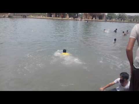 Wah Garden 29-05-2016