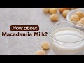 The Best Non Dairy Alternatives Macadamia Milk