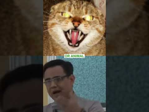 Signs of extra-ordinary demonic attack #shorts