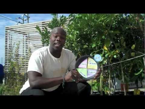 The Pyramid is out... The Plate is in! 