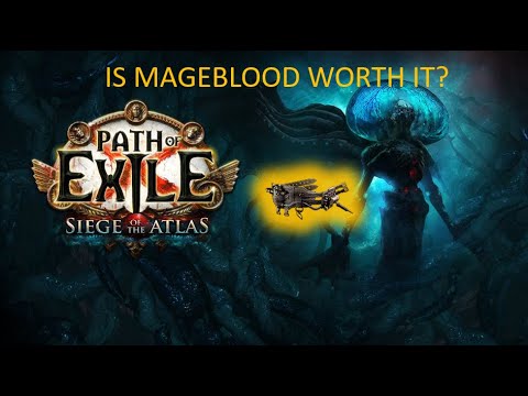 [Poe 3.17] I farmed 1 week for a Mageblood ... Was it worth it?