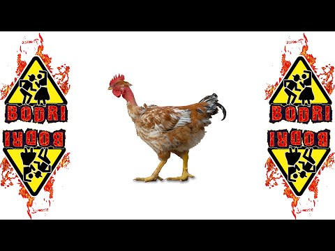 B O D R I - (nem lehet a legényekkel) Kikukoricázni (szurkolói nóta) - riglizni!