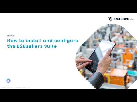How to install and configure the B2Bsellers Suite for Shopware 6