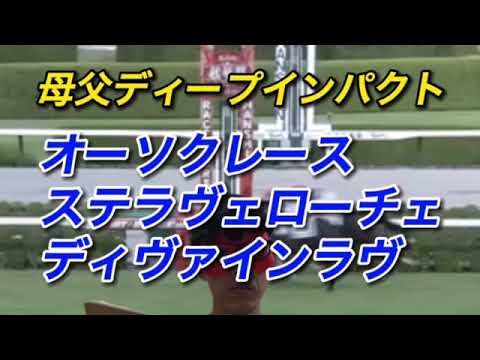 第82回菊花賞（2021.10.24 阪神競馬場）三心占い🐎