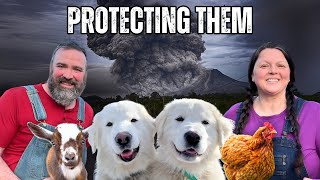 Volcanic Ash Cloud Threatens Our Alaska Homestead: Prepping for the Volcano Fallout