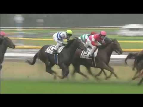 2017.10.29 2yo Newcomers (JPN) - Hishi Cosmah