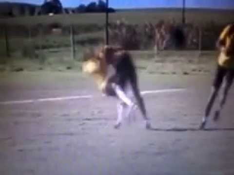 Riebeek United - Big hit 2016