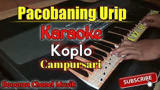 Download lagu Pacobaning Urip Karaoke Koplo Lirik Cowok Cover pa600 mp3 Download lagu Pacobaning Urip Karaoke Koplo Lirik Cowok Cover pa600 mp3