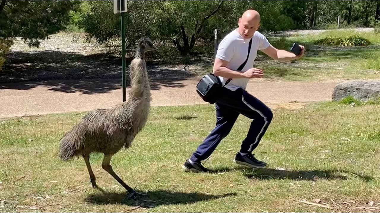 Наши в Австралии :)