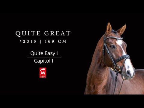 Quite Great *2016 v. Quite Easy I - Capitol I