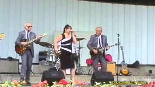 Suzie & the Seniors  Tremeloes Cover - Suddenly you love me