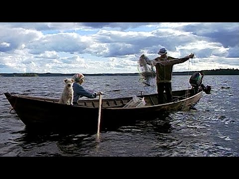 Tosi tarina - Niitty (Dokumentti)