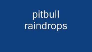 pitbull raindrops