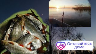 Рыбалка в октябре на чудском озере