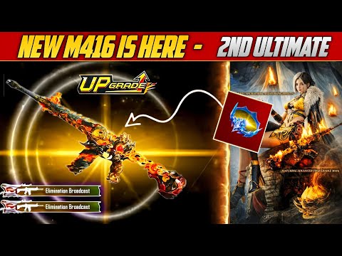 PASHTON YT and PASHTON 