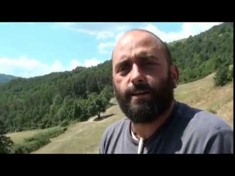 Intervista al pastore aggredito dal lupo.