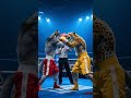 Cheetah Vs Wolf Boxing Match Who Will Win Shorts