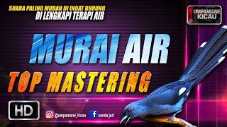 Download lagu murai air || TOP MASTERING MURAI BATU mp3