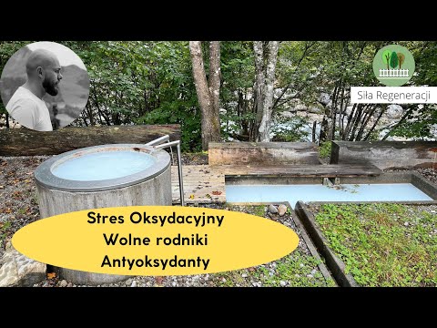 Stres oksydacyjny - Wolne Rodniki - Antyoksydanty