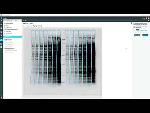 Empiria Studio® Software 2.0: Linear Range Determination