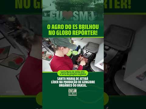 ✨ Santa Maria de Jetibá é destaque nacional como a terra do gengibre orgânico