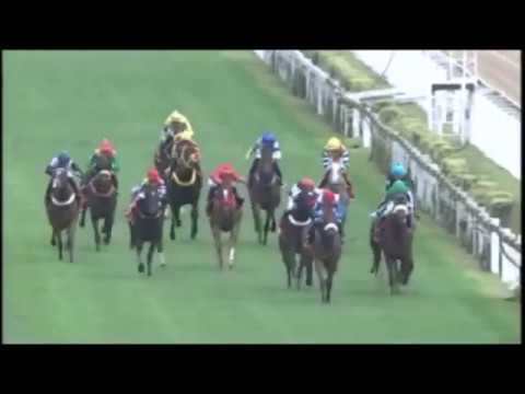 GP Diana 2017 -  Sea Dream