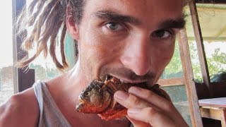 EATING PIRANHAS