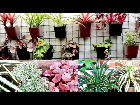 image-How can I design my small garden?