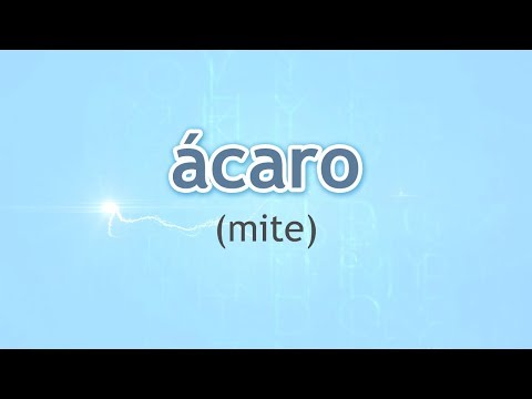 How to Pronounce Mite (Ácaro) in Spanish