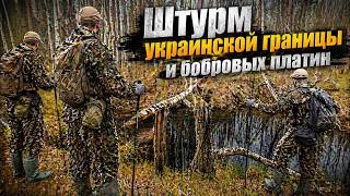 Штурм украинской границы и бобровых платин