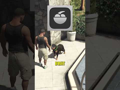 What Happens If You Never Train Chop in GTA V?