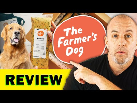 The Farmer’s Dog Review | WE TRIED IT — Here’s the Hidden Truth!