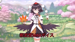 東方 キャノン ボール 確定 演出