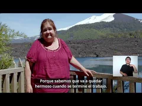 Quiero Mi Barrio _ Los Sauces