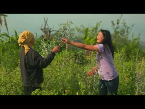 Dianthe – A Second Life for Flowers | From Manipur to the World.