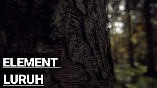 Download lagu Element - Luruh | Lyrics mp3