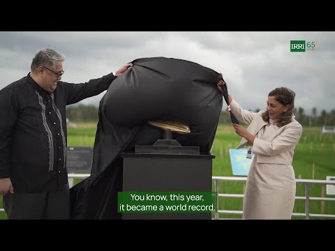 IRRI 65: Celebrating 65 years of rice science