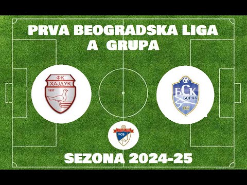 FK HAJDUK - FK BSK BORCA  3:0(1:0)
