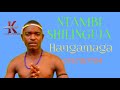 NTAMBI SHILUNGUJA Hangama Official Audio 2025