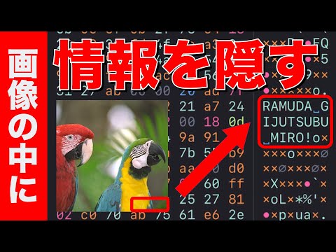 Gmail: Google の専門家が驚くべき対策を推奨