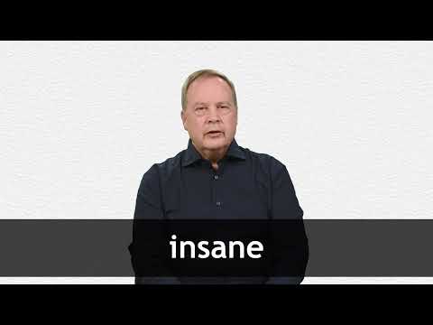 Insane - Definition, Meaning & Synonyms