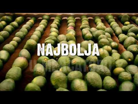 Katalog 24.5-6.6.2018.