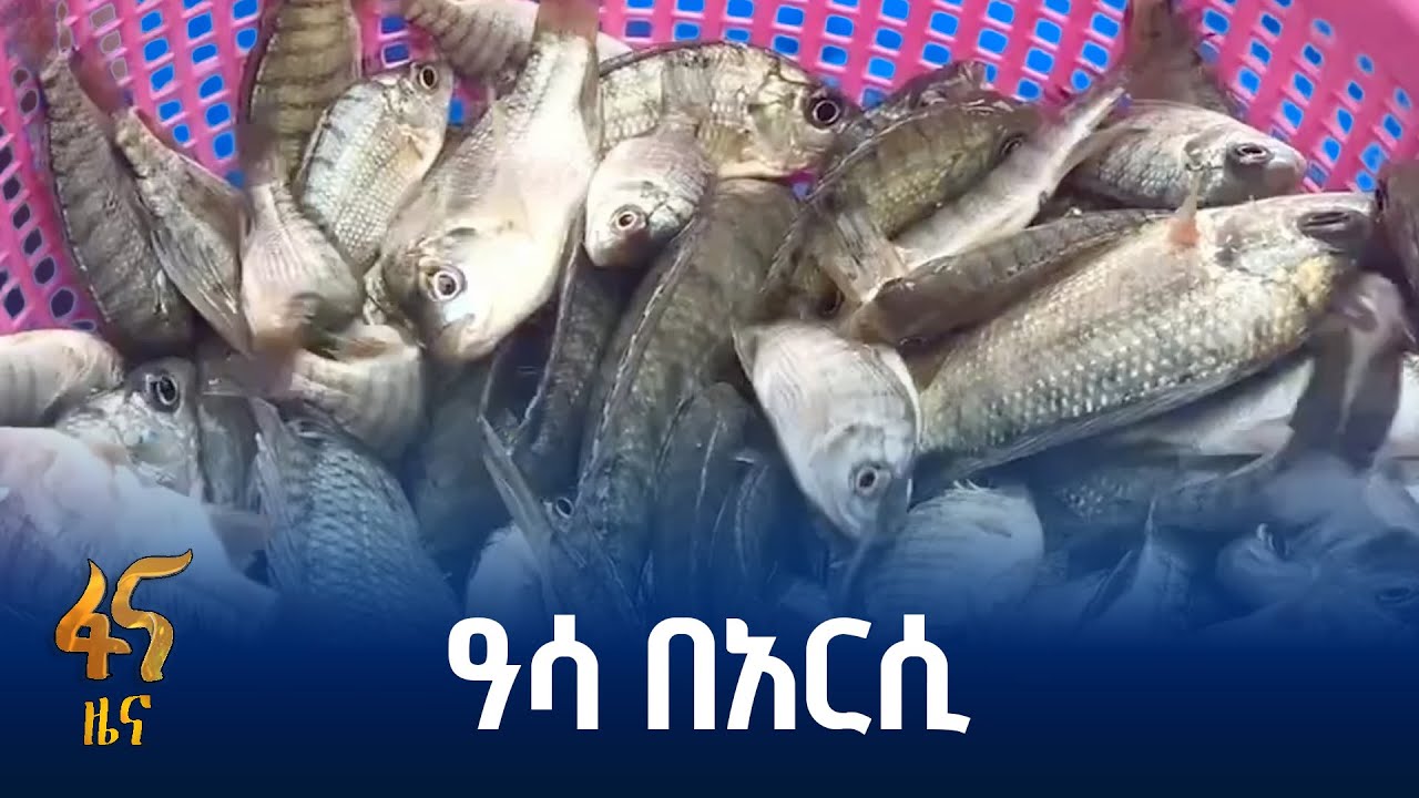 አካባቢን ታሳቢ ያደረገ የዓሳ ልማት