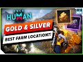 Once Human BEST Gold & Silver Location?! Amazing Farming Route - Way of Winter